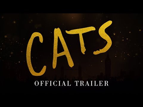 CATS | On Set Physios | The Flying Physios